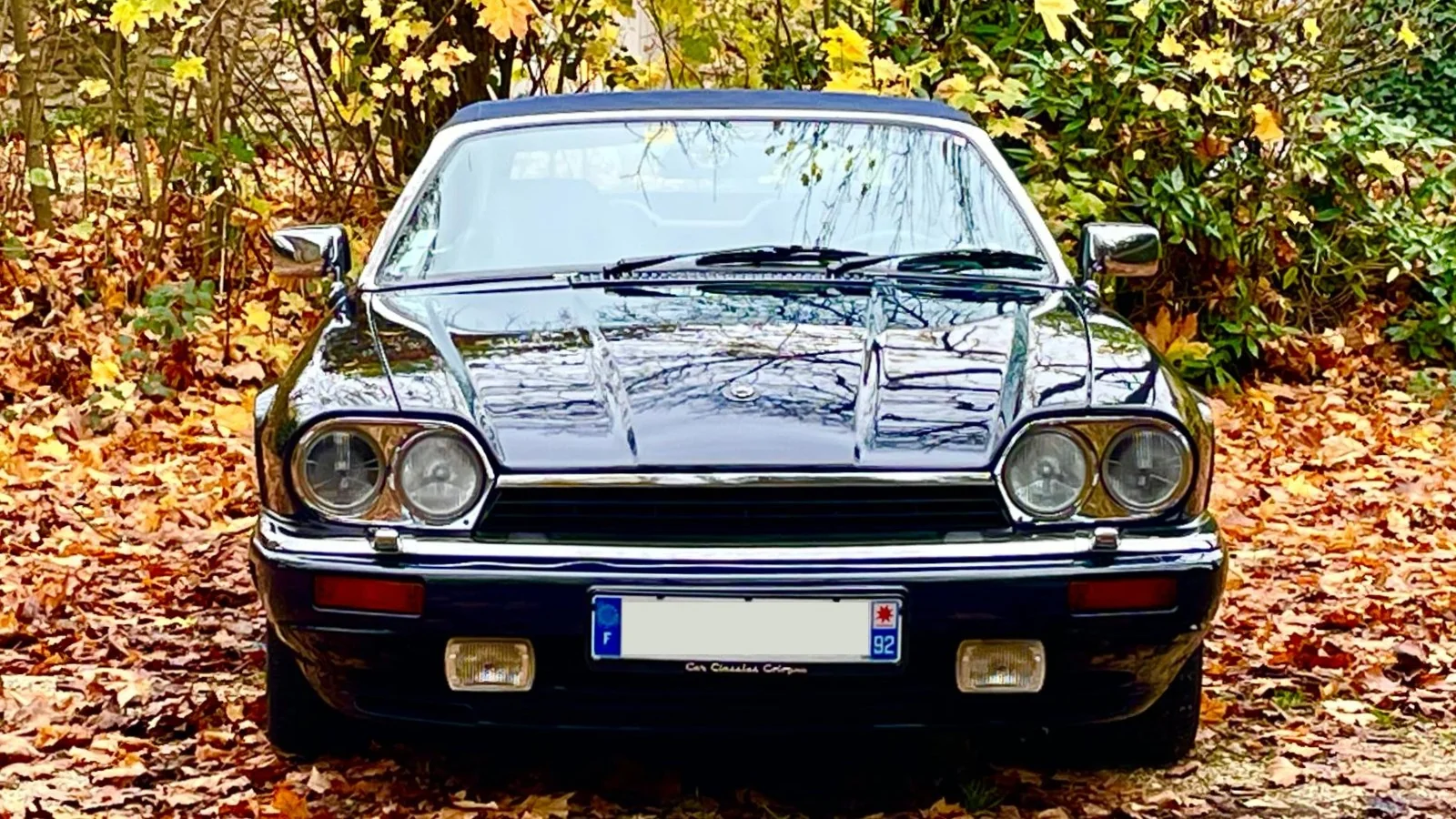 Image pour voiture 1