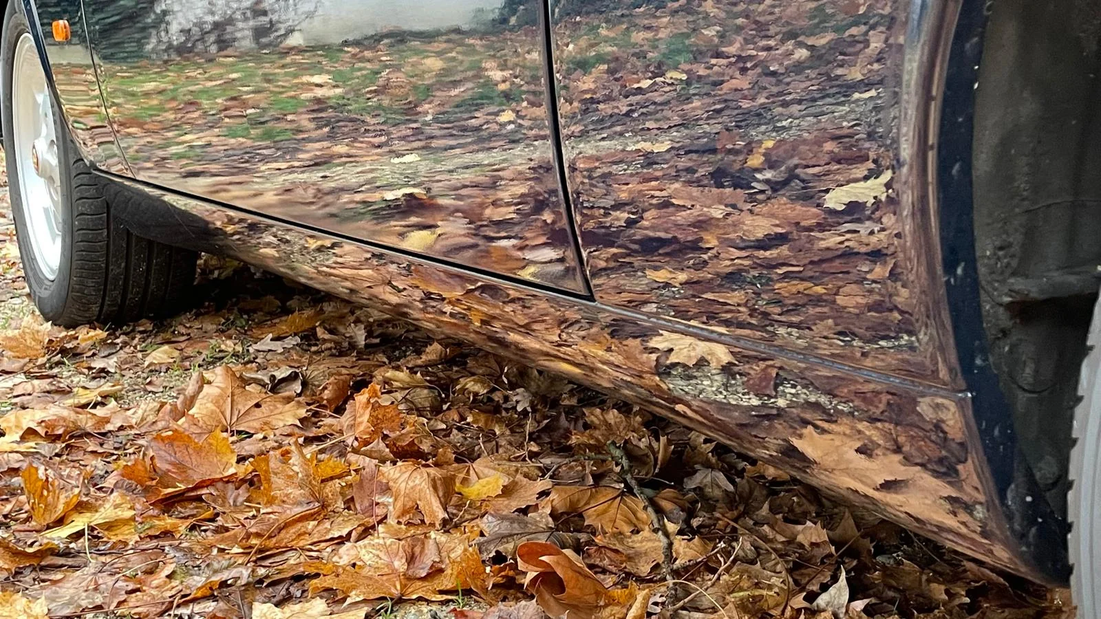 Image pour voiture 1