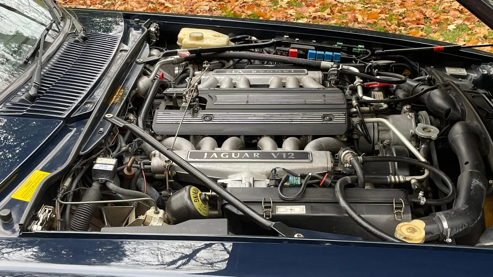 Image pour voiture 1