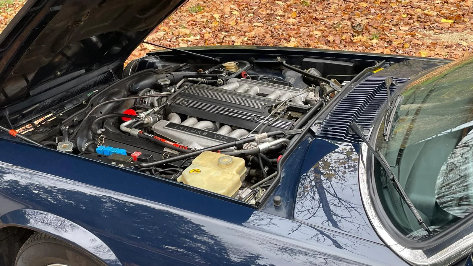 Image pour voiture 1