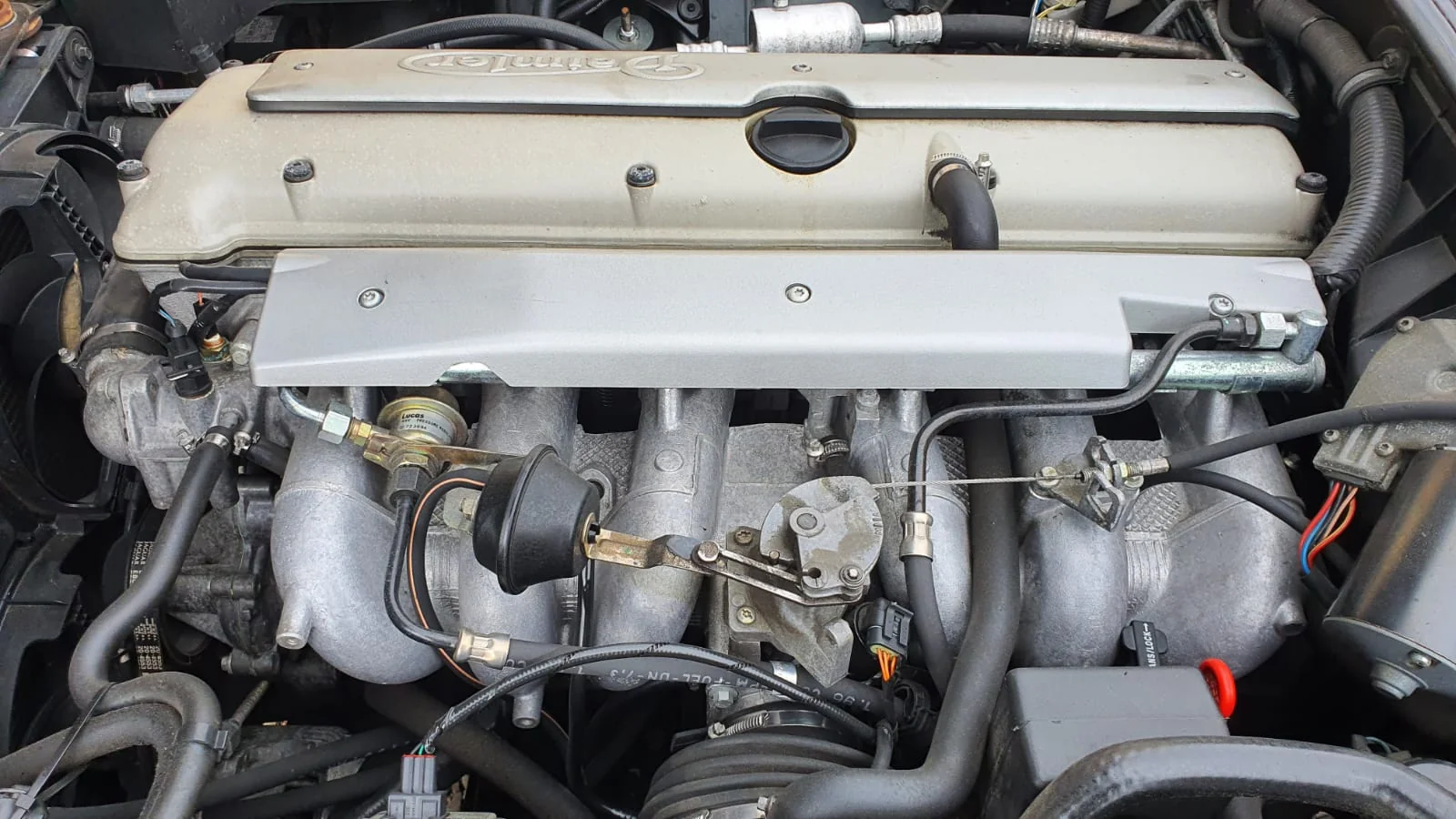 Image pour voiture 11