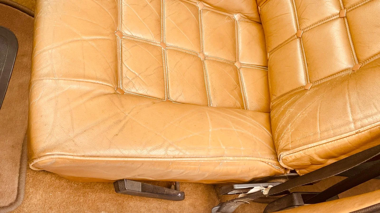 Image pour voiture 19