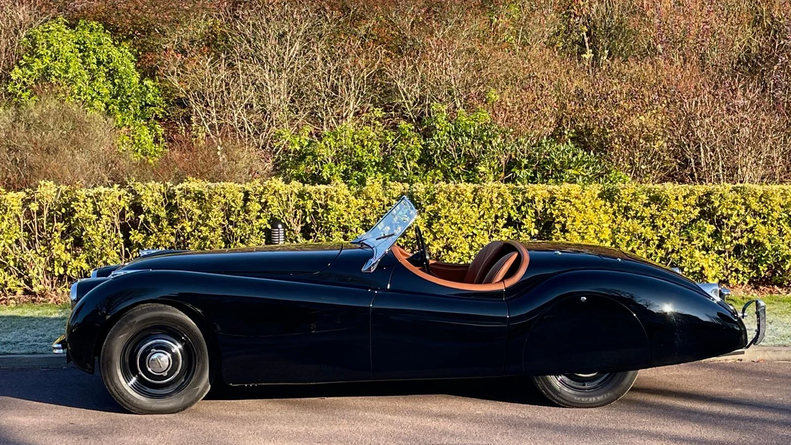 Jaguar  XK120 Roadster "Early"