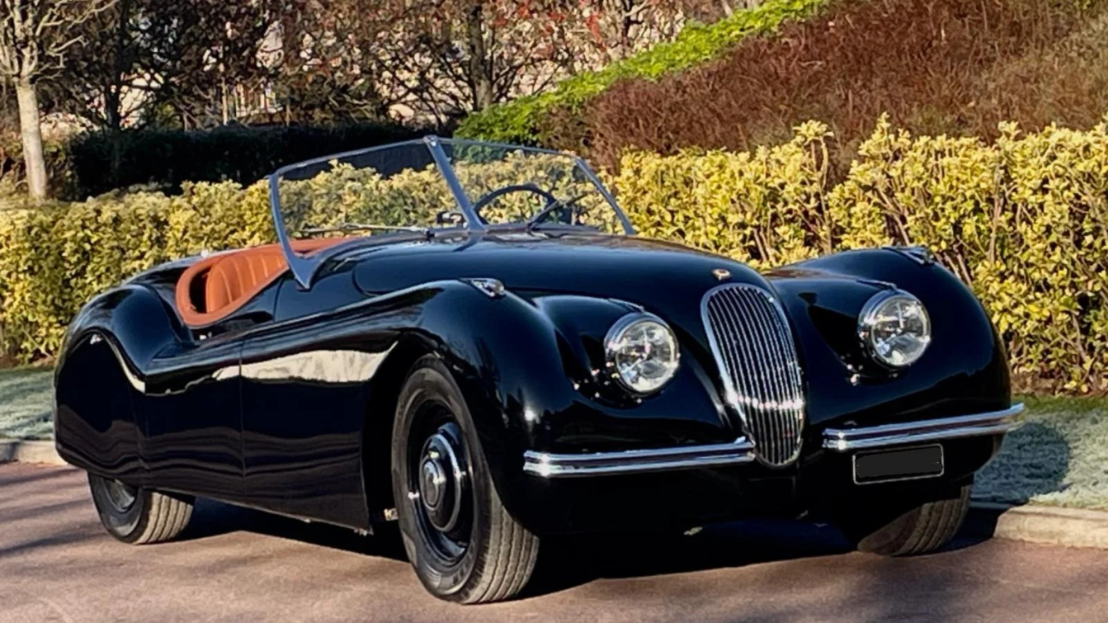 Jaguar XK120 Roadster 