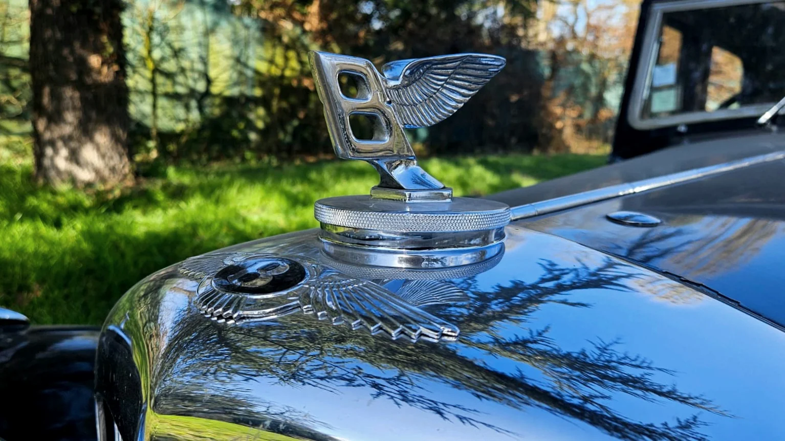 Image pour voiture 29